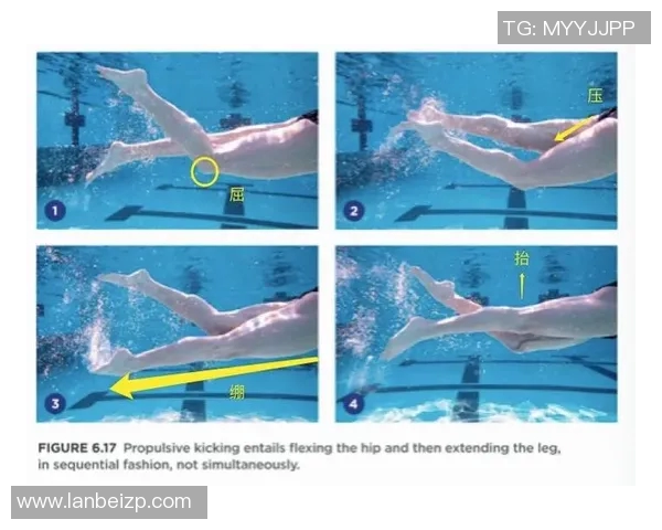 提升自由泳技巧 从入门到精通的实用视频教程