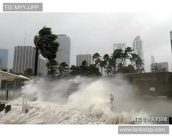 全球气候变化加剧各地极端天气事件 专家呼吁加强国际合作应对危机