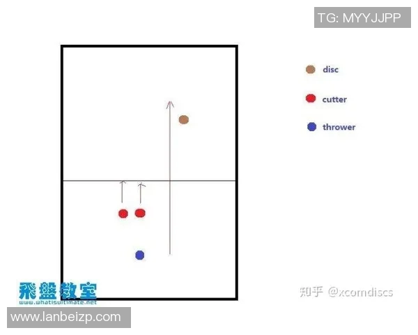 飞盘战术揭秘：深入分析上海飞盘队的防守策略与技巧